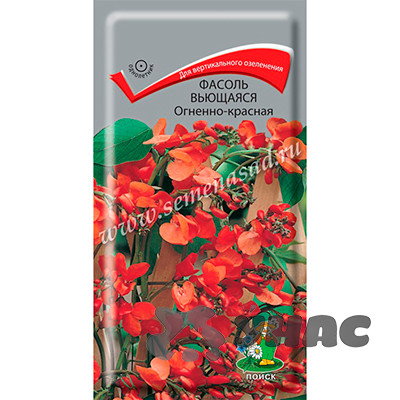 Фасоль вьющ Огненно-красная Поиск Ц