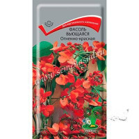 Фасоль вьющ Огненно-красная Поиск Ц