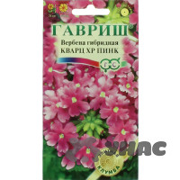 Вербена Гибридная Кварц ХР Пинк Гавриш Ц