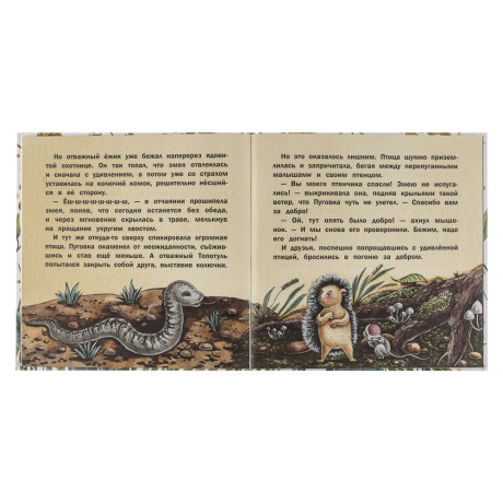 Книжка "Терапевтические сказки", твердый переплет, 20,7х20,5см, 32-48 стр., 5 дизайнов