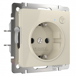 Werkel мех. роз. СУ 1 мест. 16A земля шторки Умный дом (слонов.кость) W1171603 a056421
