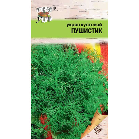Укроп Пушистик Урожай у дачи Ц