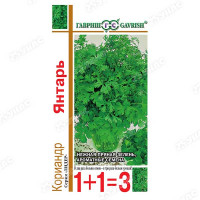 Кориандр Янтарь 1+1 Гавриш Ц