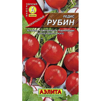 Редис Рубин Аэлита Ц