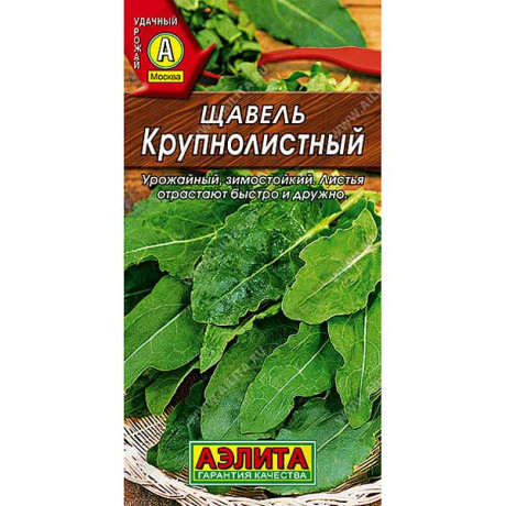 Щавель крупнолистный Аэлита Ц
