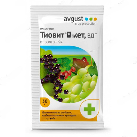 Тиовит Джет 30г Август (от мучнистой росы) х200