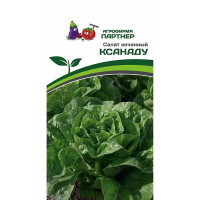 Салат Ксанаду Партнер Ц