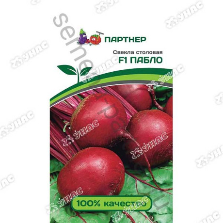 Свекла Пабло Партнер Ц