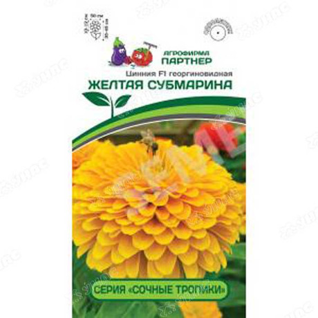 Циния Желтая Субмарина Партнер Цх10