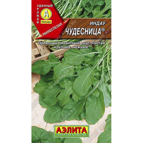 Рукола (индау) Чудесница Аэлита Ц  x10