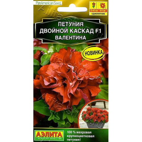 Петуния Двойной каскад Валентина Аэлита Ц х10