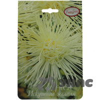 К Астра Искушение желтая Каприс