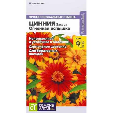 Циния Захара Огненная вспышка СемАлт Ц