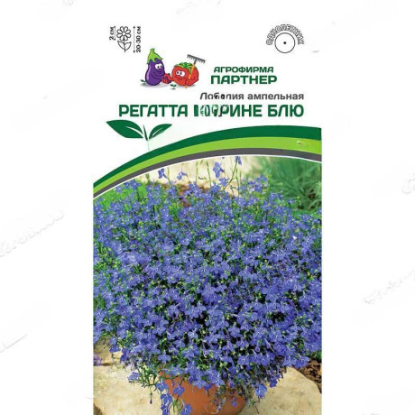 Лобелия Регатта Марине Блю Партнер Ц