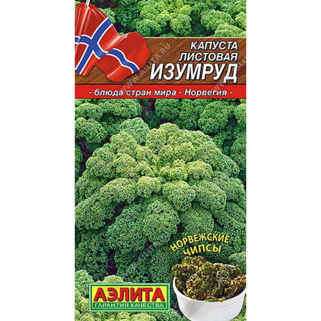 Капуста Изумруд листовая Аэлита Ц