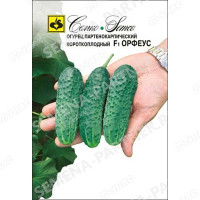 Огурец  Орфеус Семко Ц