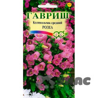 Колокольчик Розеа средний Гавриш Ц