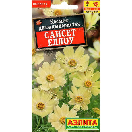 Космея Сансет еллоу Аэлита Цх10