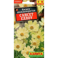 Космея Сансет еллоу Аэлита Цх10