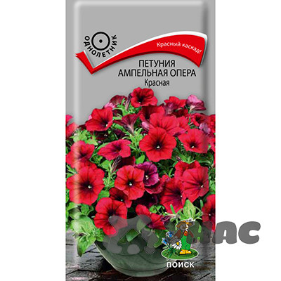Петуния Опера Красная Поиск Ц
