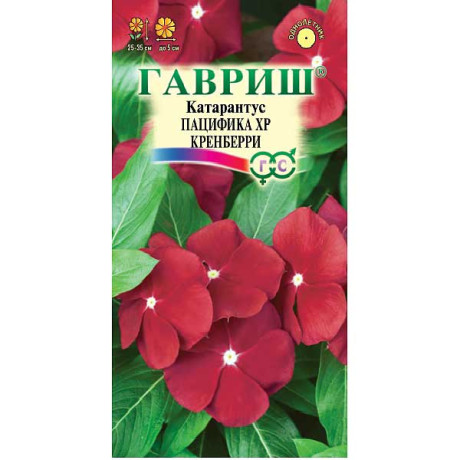 Катарантус Пацифика Кренберри Гавриш Ц