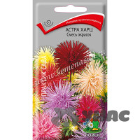 Астра Харц смесь окрасок Поиск Ц