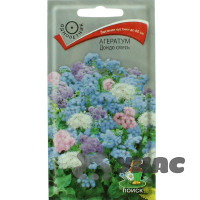 Агератум Дондо смесь Поиск Ц
