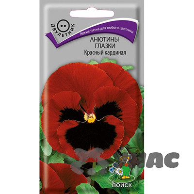 Анютины глазки Красный кардинал Поиск Ц
