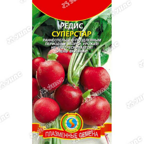 Редис Суперстар Плазма Ц