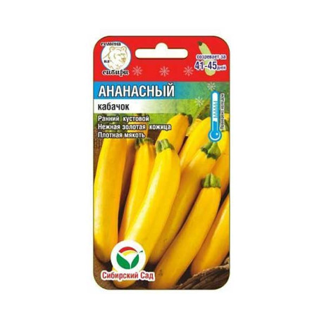 Кабачок Ананасный СибСад Ц