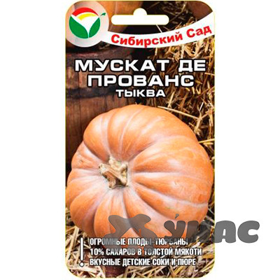 Тыква Мускат де Прованс СибСад Ц