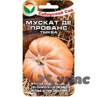 Тыква Мускат де Прованс СибСад Ц