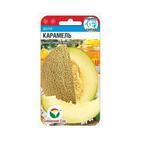 Дыня Карамель СибСад Ц