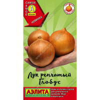 Лук Глобус Аэлита Цх10