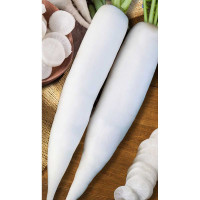 Дайкон Цезарь 1гр Садовита Ц