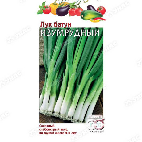 Лук батун Изумрудный Гавриш Ц