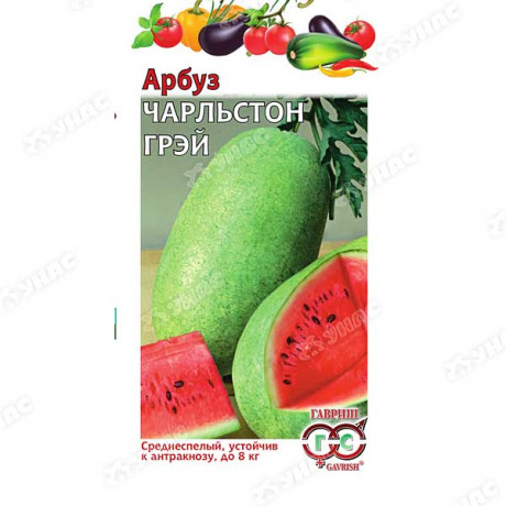 Арбуз Чарльстон Грей Гавриш Ц