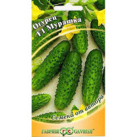 Огурец Мурашка Гавриш Ц