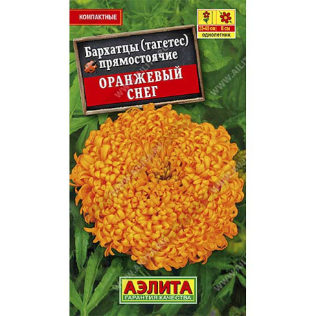 Бархатцы Оранжевый снег Аэлита Ц