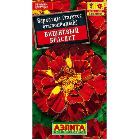 Бархатцы Вишневый браслет Аэлита Ц
