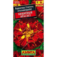 Бархатцы Вишневый браслет Аэлита Ц