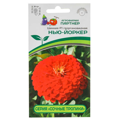 Циния Нью-Йоркер Партнер Цх10