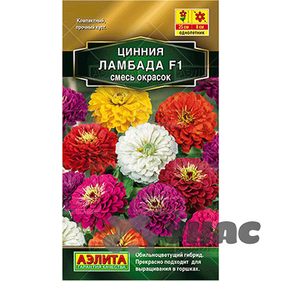 Циния Ламбада смесь окрасок Аэлита Ц