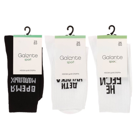 Носки с надписями, GALANTE, р. 23-25, 80% хлопок, 17% полиамид, 3% эластан, цвета в ас-те