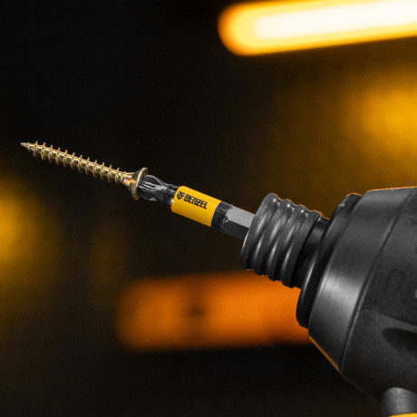 Бита PZ2х50, сталь легированная S2, 10 шт., круглый профиль, отрывная упаковка, , Е 6,3 Denzel