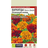 Бархатцы Френч Дварф Огненный ковер СемАлт Ц