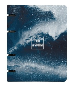 Тетрадь общая BeSmart А5 120л, клетка, кольца, Storm брызги N1993 1153554