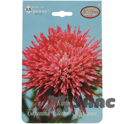 К Астра Баретта Светло-Красная Каприс