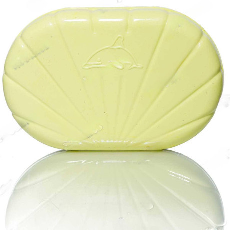 Мыльница "Ракушка" 12*12 Королева чистоты  х144