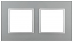 ЭРА 14 Elegance рамка СУ 2 мест.стекло, алюминий+алюм 14-5102-03 5244